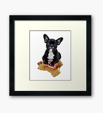 Cute English bulldog puppy Framed Print