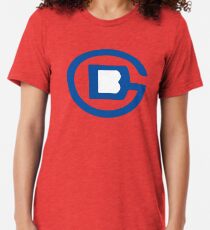 Beijing Subway China Tri-blend T-Shirt