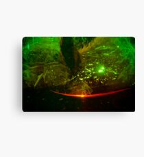 green ice Canvas Print