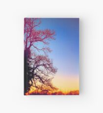 Queen Of The Tree Tiger Hardcover Journal