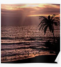 Sunset Flight Poster