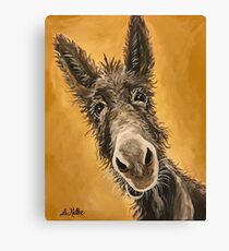 Esel Kunst, Burro Art Leinwanddruck