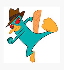 Perry the Platypus Photographic Print