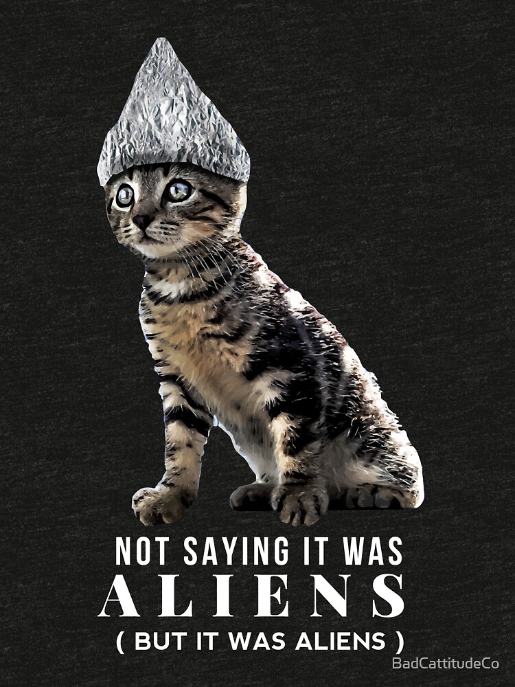"Tin Foil Hat Conspiracy Cat" Tshirt by BadCattitudeCo Redbubble