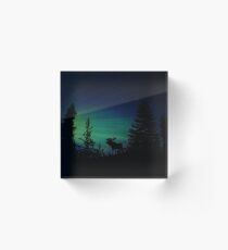 Moose with Northern Lights Acrylic Block