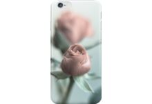 A Pink Rose for your Sweetheart... auf Redbubble von pASob-dESIGN