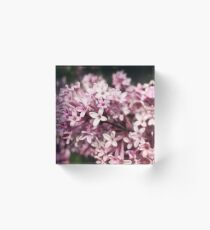 Pink blossoms Acrylic Block