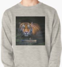 Fantasy Picture-001 Pullover