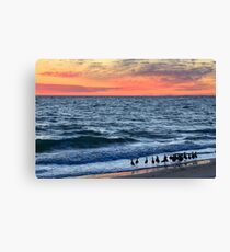 Willets and Sundown Surf Canvas Print