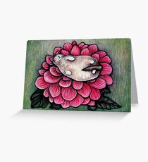 Cat Nap Greeting Card
