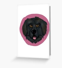 Newfoundland Dog Big Begging Eyes Face Portrait Greeting Card