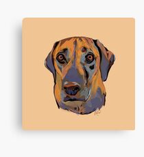 Gentleman Jake Canvas Print