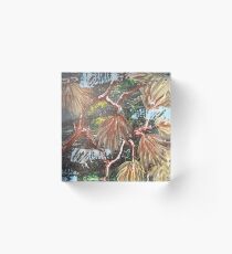 WINTER PINE by H.Lin Acrylic Block