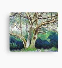 BY NATURE Canvas Print