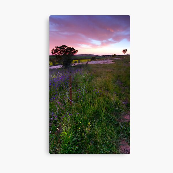 The Fence (broken) Canvas Print