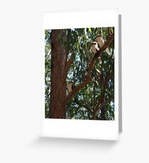 Three Wise Men Greeting Card