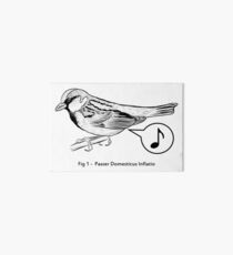 Passer Domesticus Inflatio Art Board