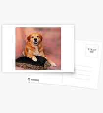 Picture Perfect Pose Postcards