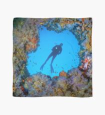 The blue Window Scarf