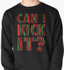 Can I kick it? Pullover