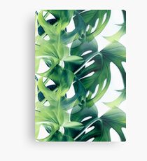 Monstera Deliciosa Metal Print