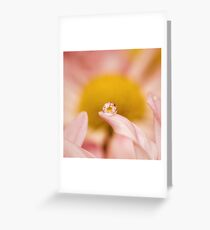“In one drop of water are found all the secrets of all the oceans” Greeting Card