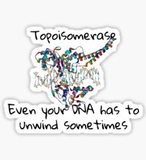 Topoisomerase Sticker