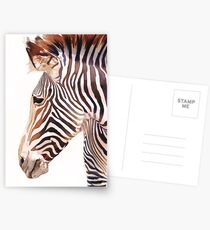 "Zebra Bust" Zebra Wildlife Watercolor Postkarten