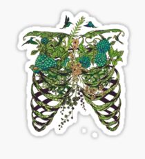 Nature Rib Cage Sticker