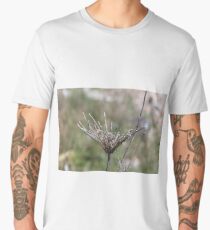 Grass, Nature, Mother Earth, Environment, Wildlife, Flora, Kind, Grain, Park Men's Premium T-Shirt