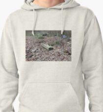  Nature, Mother Earth, Environment, Wildlife, Flora, Kind, Grain, Park Pullover Hoodie