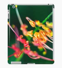 Vinilo o funda para iPad Remolino