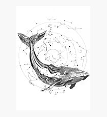 Wild Spirit Photographic Print