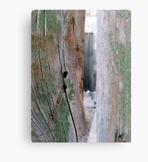 Cyprus Doors Metal Print