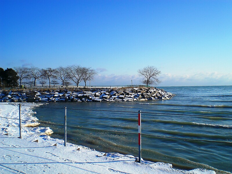 "Lake Michigan seen from Northwestern Univ, in Evanston, IL" by Arleen