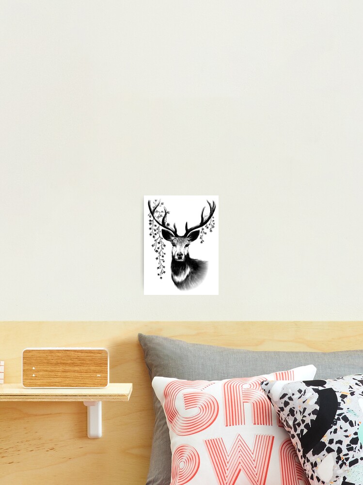 The Majestic Stag Photographic Print By Jstuartart Redbubble