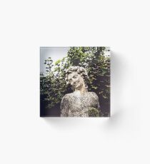 Fairey in an Irish Garden Vintage Photograph Acrylic Block