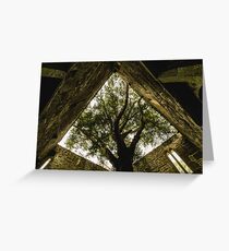 Yew Tree at Muckross Abbey - Killarney National Park Ireland Greeting Card