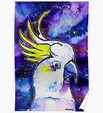 Galaxy Cockatoo Poster