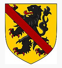 Coat of Arms of Namur, Belgium Photographic Print