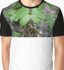 Branch Graphic T-Shirt