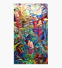 Lupin Garden Photographic Print