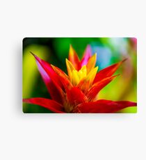 Flower macro Canvas Print