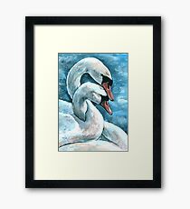 Swans Framed Print