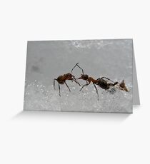 Dancing Ants Greeting Card