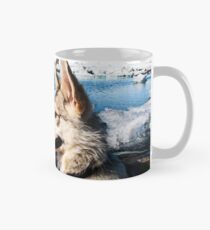 Blizzard Mug