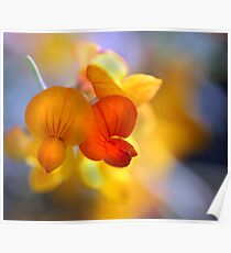 Whisper Soft Poster
