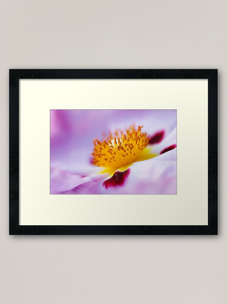 Alternate view of Exotic Framed Art Print