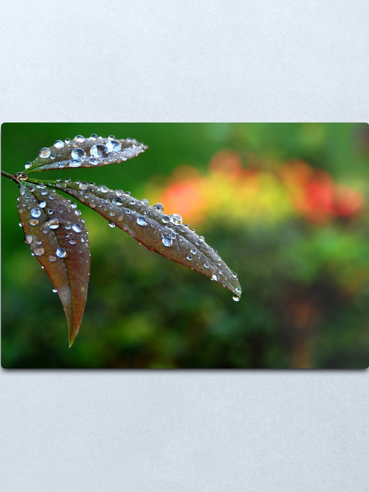 Alternate view of After the Storm Metal Print