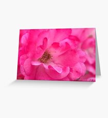“Pink's Romance”, Photo Artwork Greeting Card